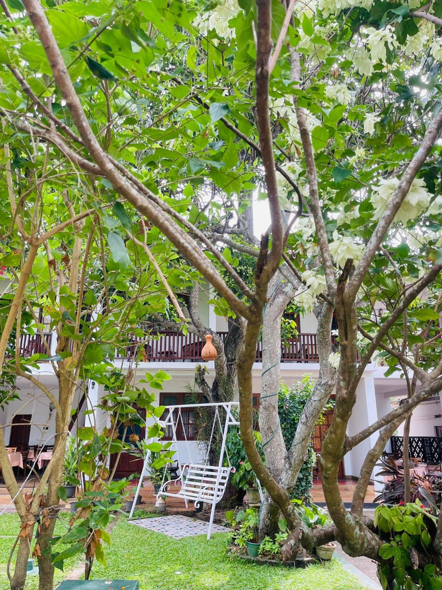 Little Paradise Tourist Guest House And Holiday Home 아누라다푸라 외부 사진