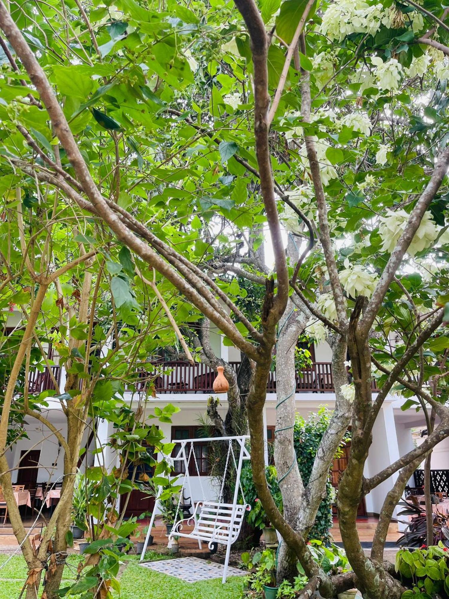 Little Paradise Tourist Guest House And Holiday Home 아누라다푸라 외부 사진