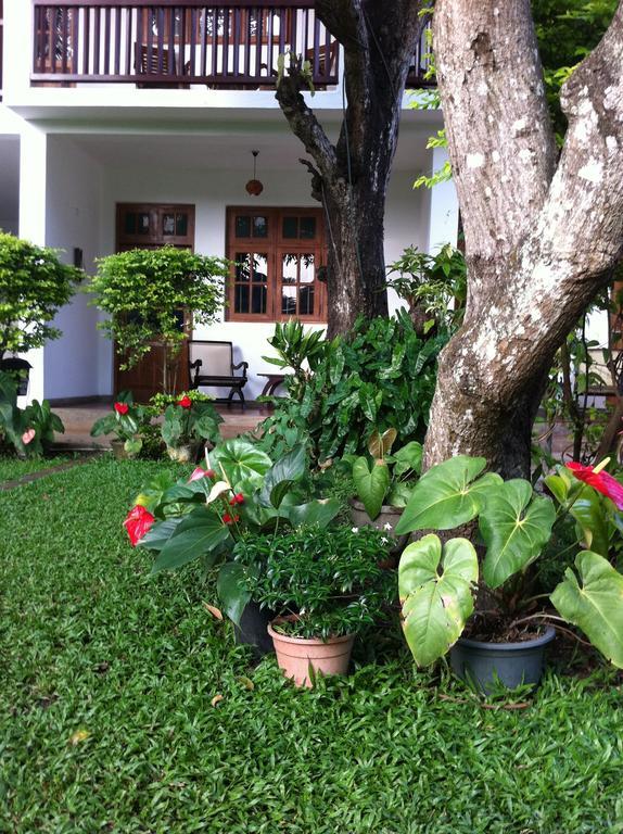 Little Paradise Tourist Guest House And Holiday Home 아누라다푸라 외부 사진
